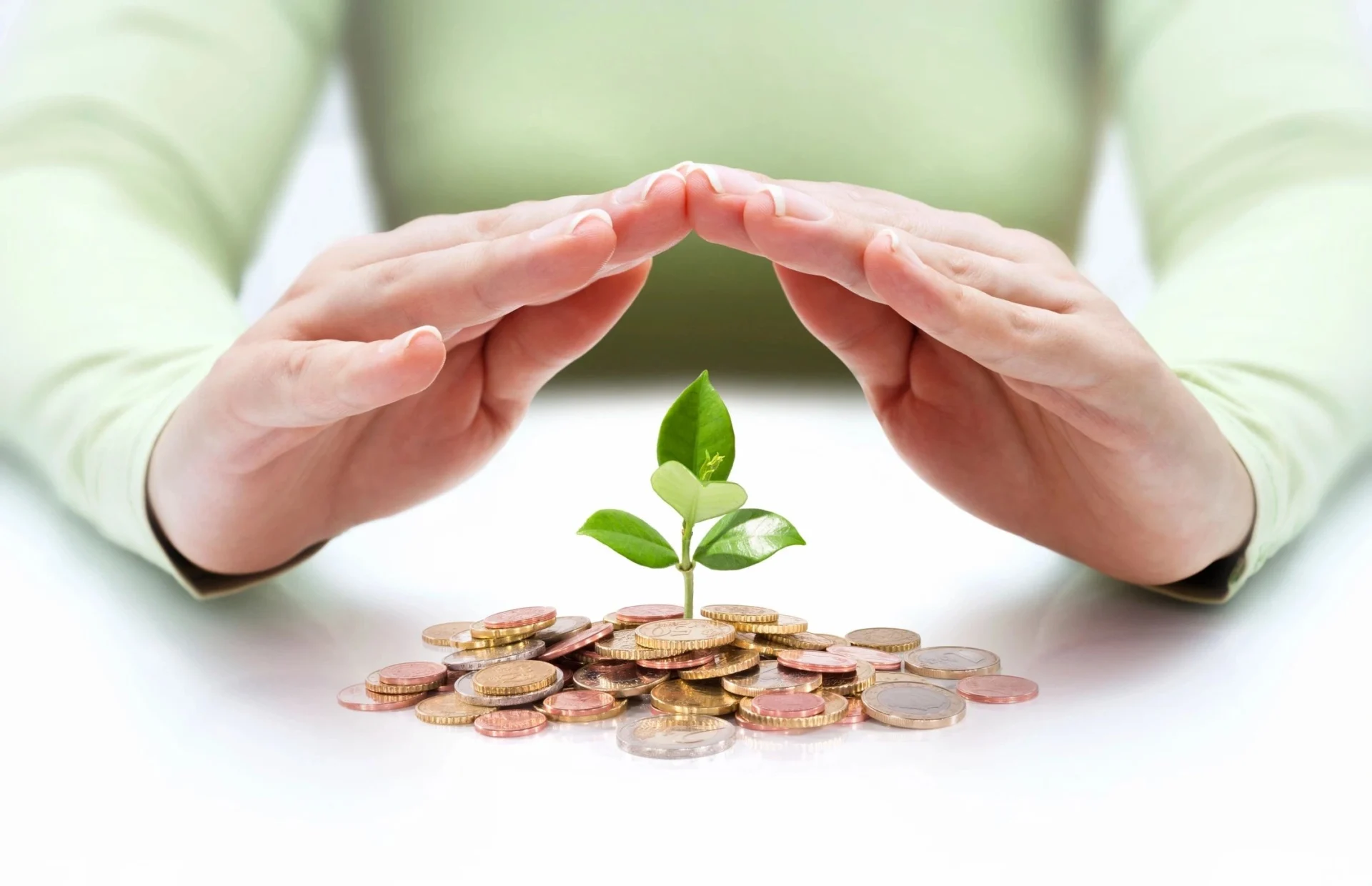 A person holding their hands over a plant